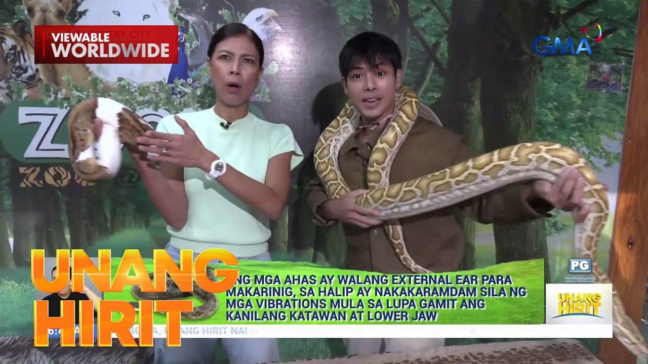 World Snake Day - Close encounter with snakes sa Tagaytay | Unang Hirit