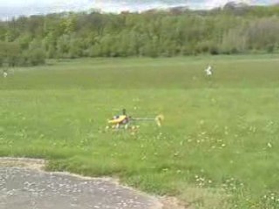 T rex 450 de Stéphane