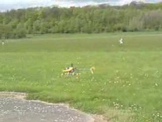 T rex 450 de Stéphane