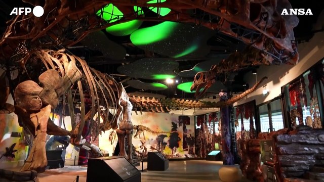 Scoperto in Thailandia il piu' grande dinosauro del sud-est asiatico
