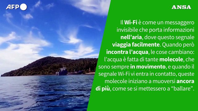 Ansa VERIFIED - E' vero che il Wi-Fi funziona sott'acqua?
