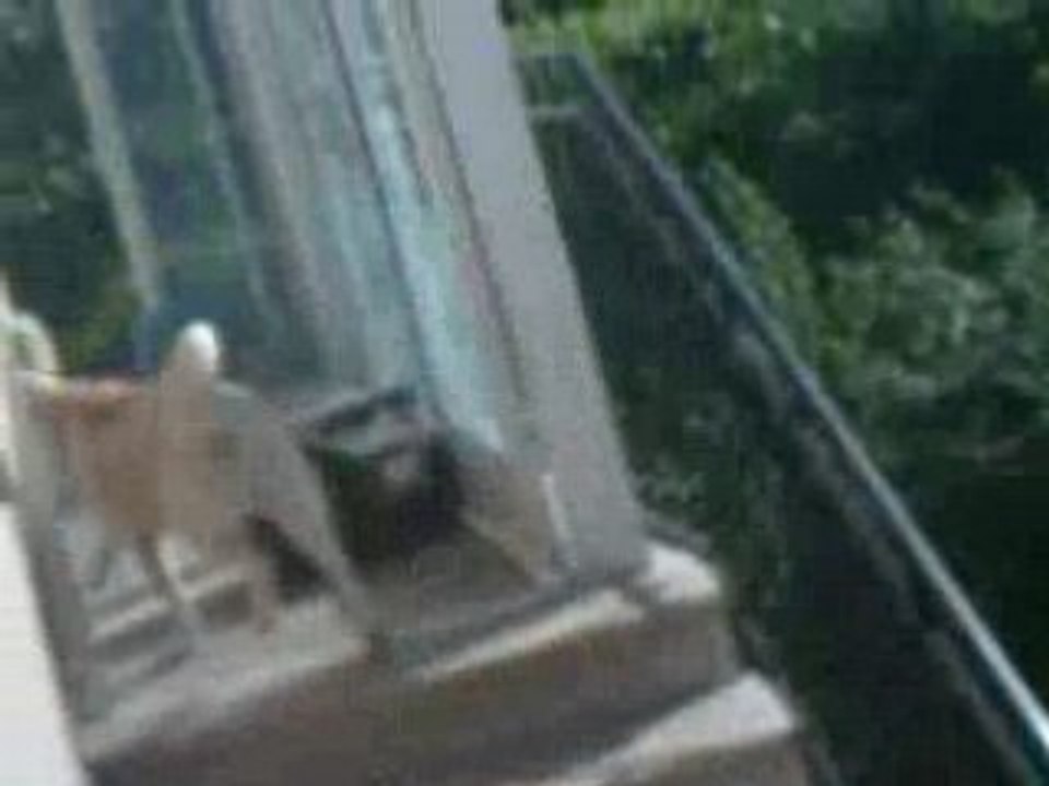CLIP0008