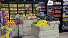 Рокфор и вино: ЕС добивается освобождения товаров на €150 млрд от американских пошлин в 15%