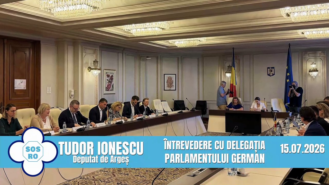 Întrevedere cu delegaţia parlamentară din Bundestagul German