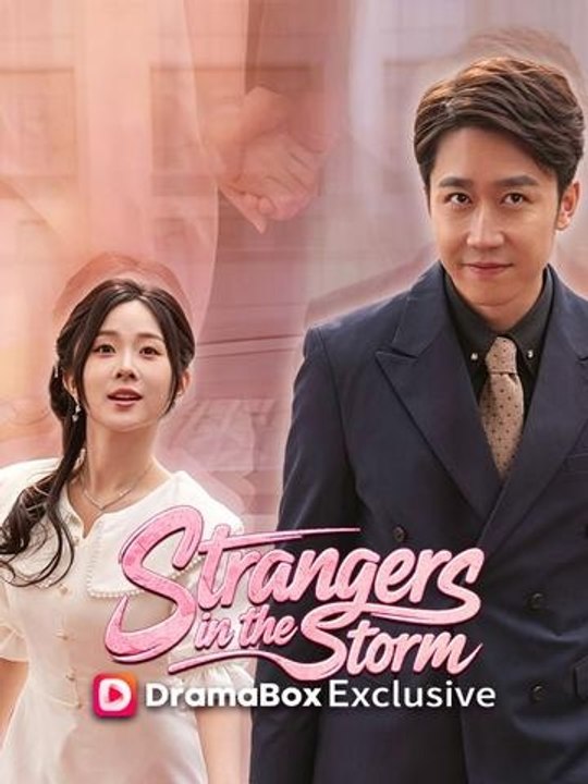 Strangers in the Storm Hot