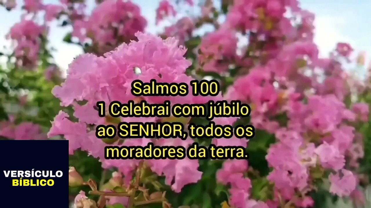BÍBLIA SAGRADA. Salmos 100. Alegria na Presença de Deus