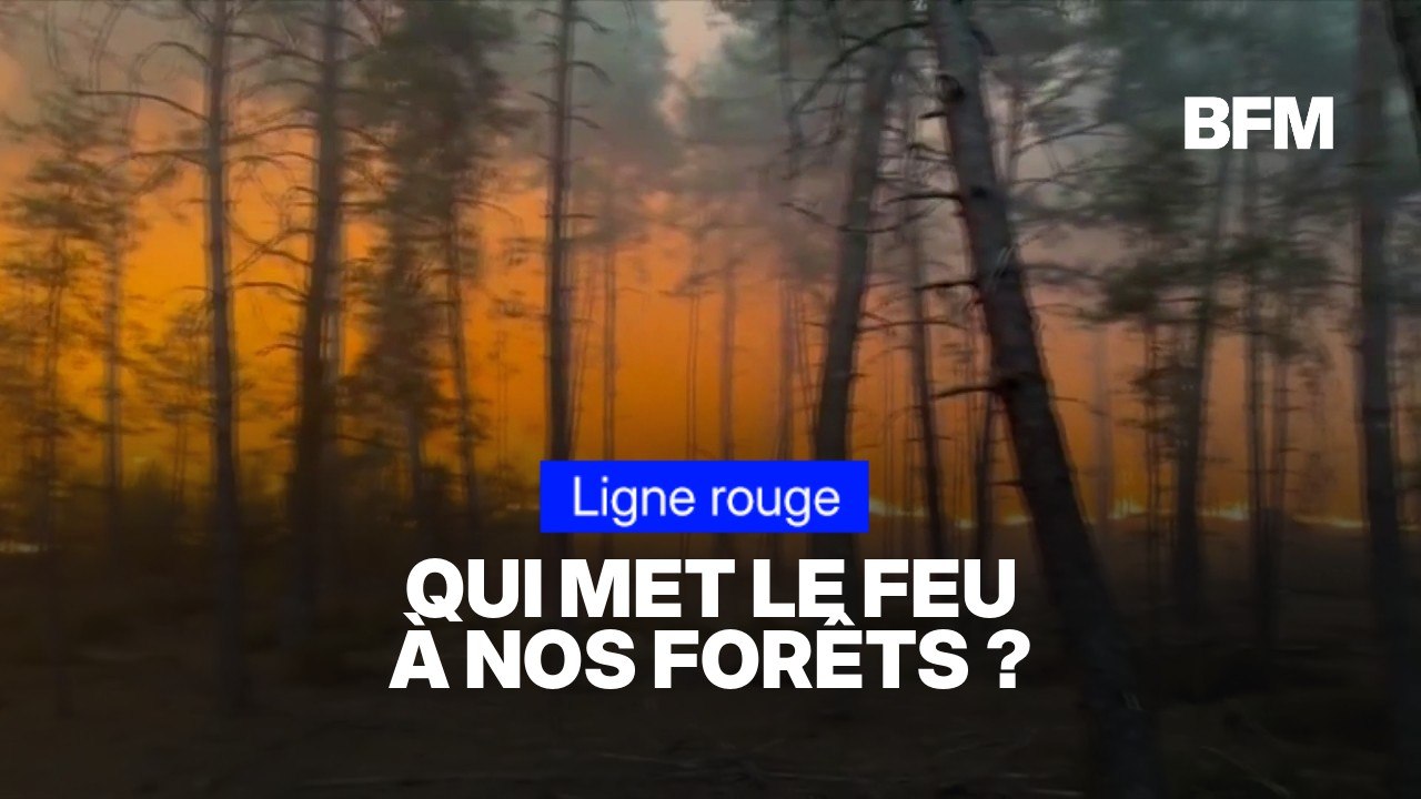 LIGNE ROUGE - Pyromanes: qui met le feu à nos forêts ?
