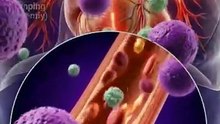 What really happens inside your body after eating a plum 🤯