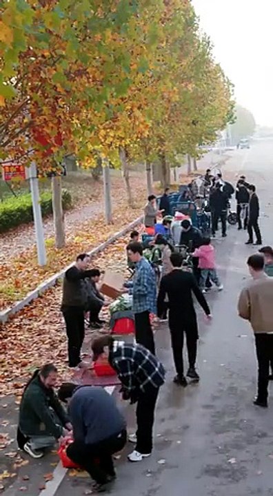 مشاهدة مسلسل عودة الصفاء بعد العاصفة مدبلج كامل...