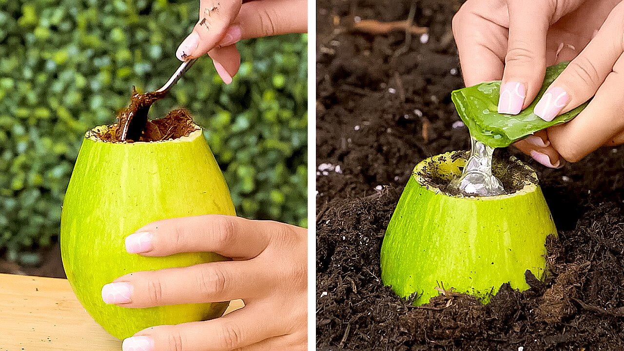 Revitalize Your Garden: Easy Hacks for Lush Growth and Blooming