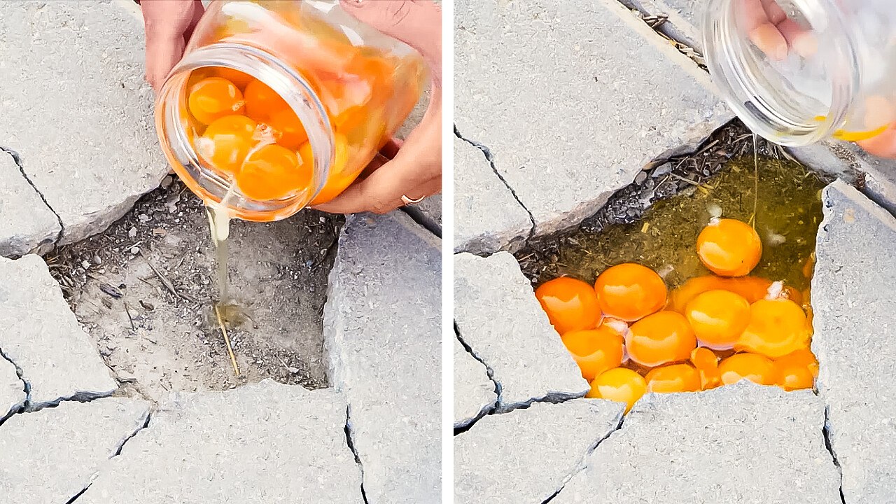 Eggs vs. Eggshells: Incredible Hacks to Make the Impossible Happen