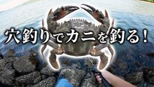 【穴釣り】楽しすぎ！穴釣りでカニを釣る！