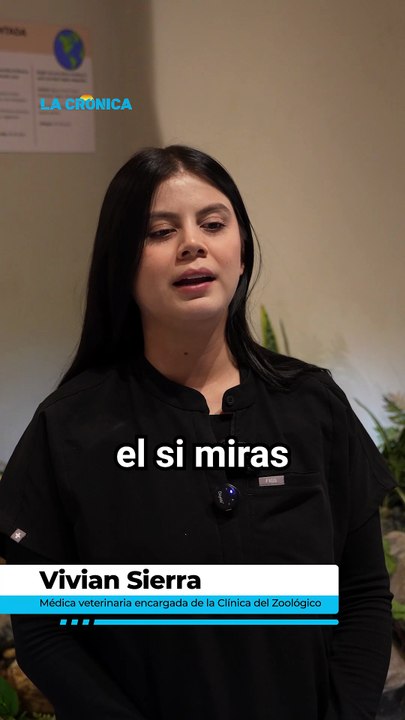 Así puedes auxiliarlos este verano en Mexicali