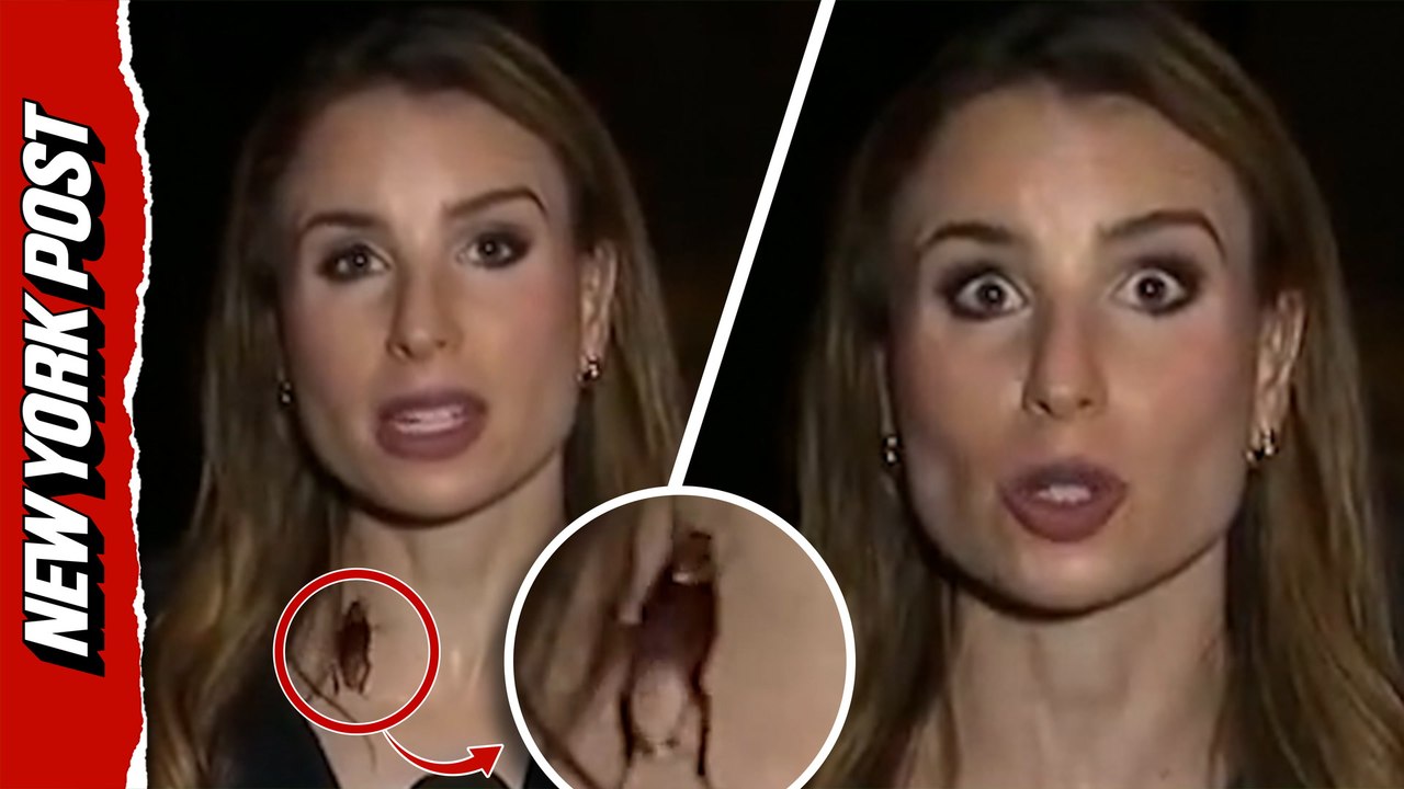 Nightmare moment MASSIVE bug lands on reporter and nearly sneaks down her shirt