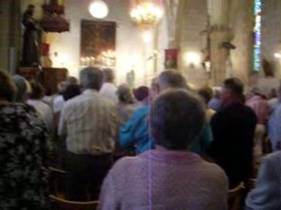 les bleuets
