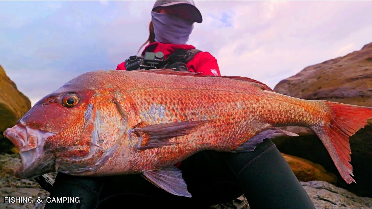 【記録更新！！】女が記録級の大物が乱舞する凄まじい秘境の海で魚釣りをしたら遂にヒットした自己記録を更新する衝撃の巨大な魚と荒れ狂う海で大激闘の勝負の結末！！│釣り│Fishing
