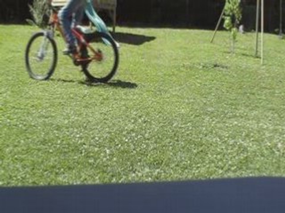 crankflip