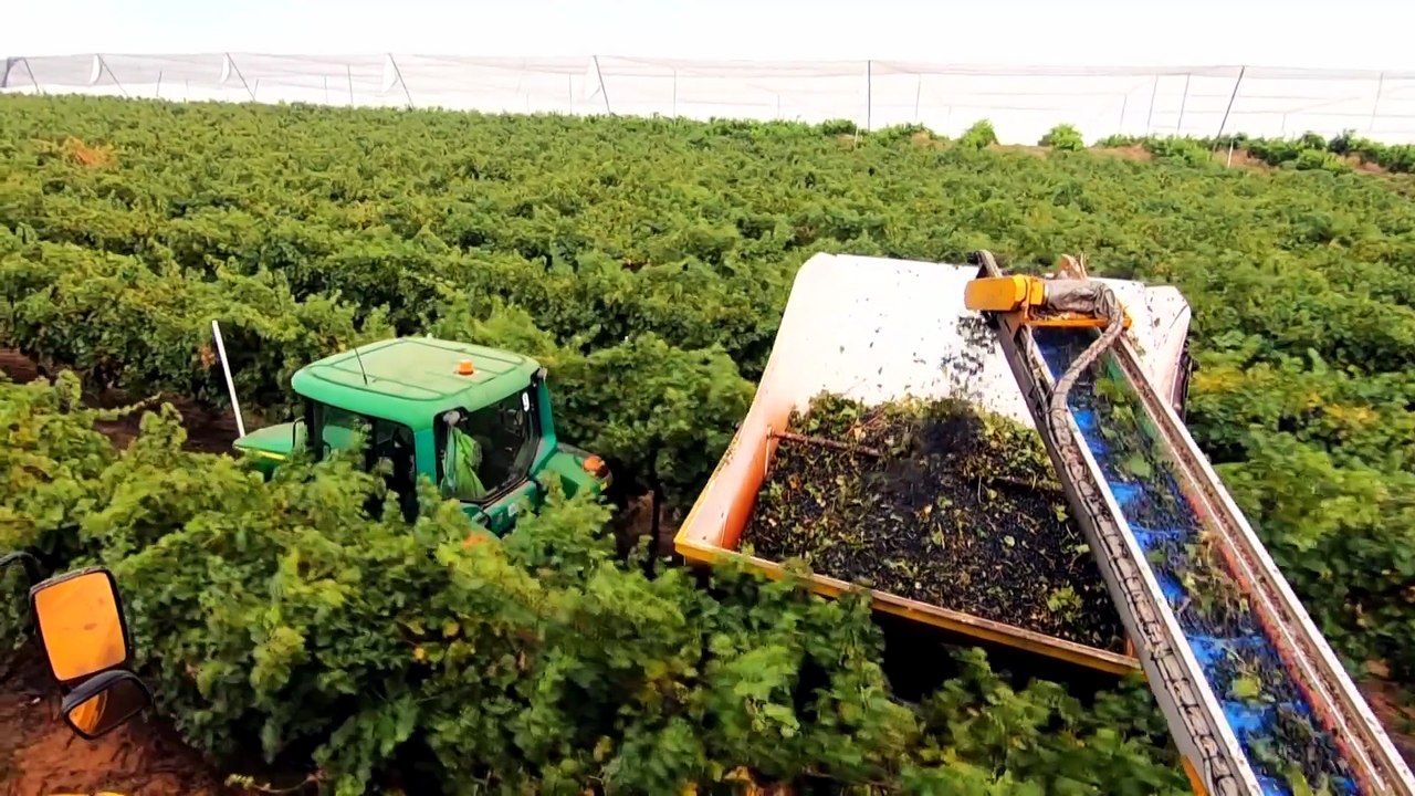 Wine Australia's National Vintage Report 2026 finds lowest harvest since 2000
