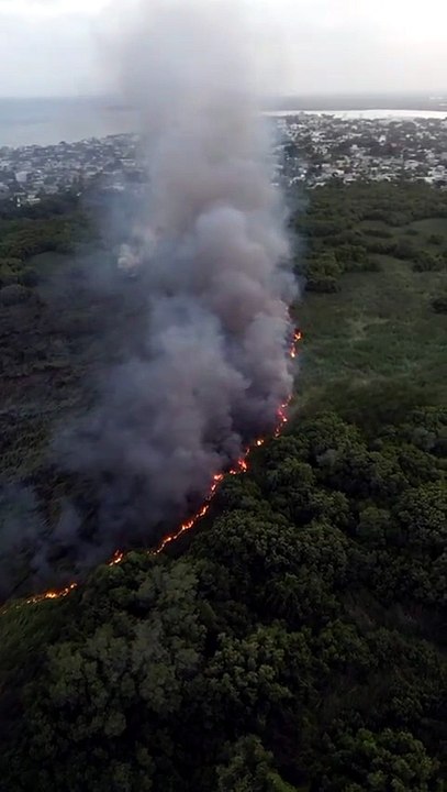 Incendio forestal afecta extensa área de la Laguna Mallén en San Pedro de Macorís