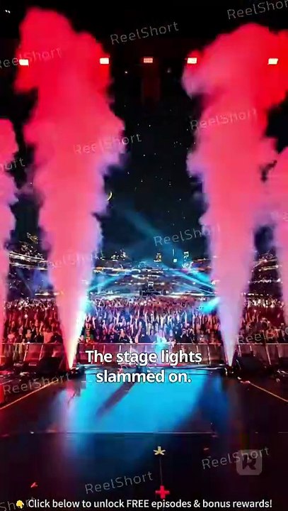 The Crazy Night at the Concert | The Stranger She Couldn’t Forget