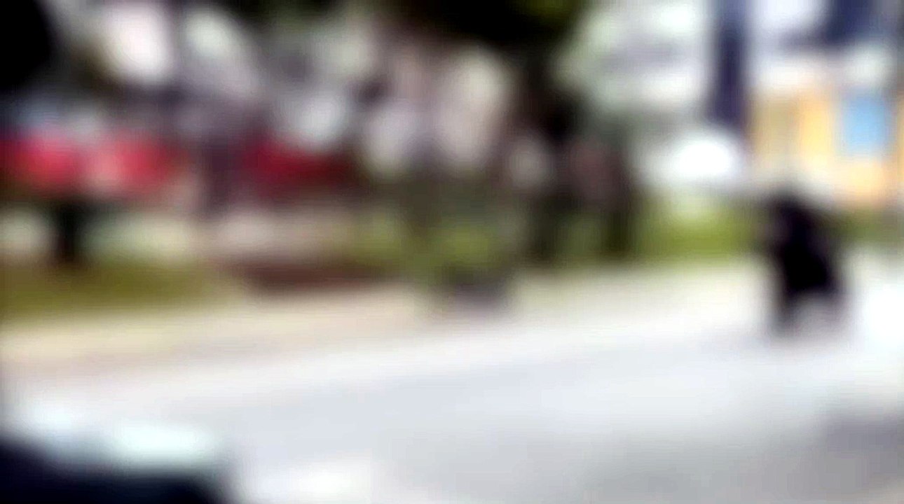 Cachorro morto é abandonado no lixo e gera revolta nas redes em JF