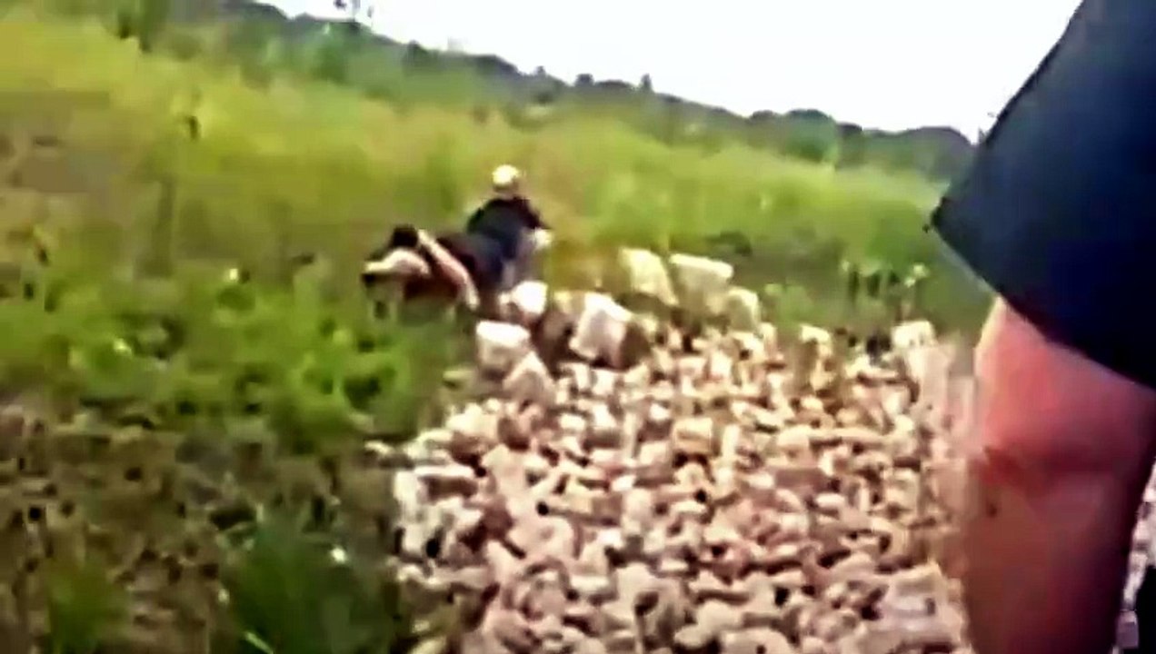 Cops Make Scariest Discovery Of Their Lives