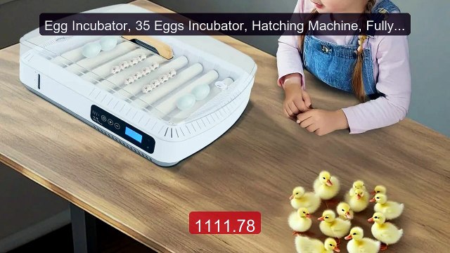 Egg Incubator, 35 Eggs Incubator, Hatching Machine, Fully Automatic... Top Rated 2026 | Buy Now!