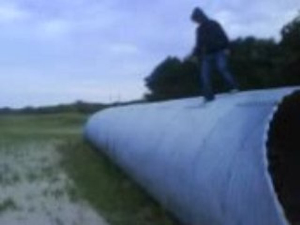 Le saut