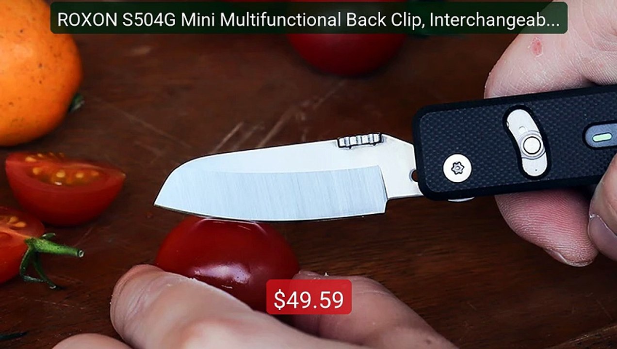 ROXON S504G Mini Multifunctional Back Clip, Interchangeable... -- Top Pick 2026 | Unbeatable Price!