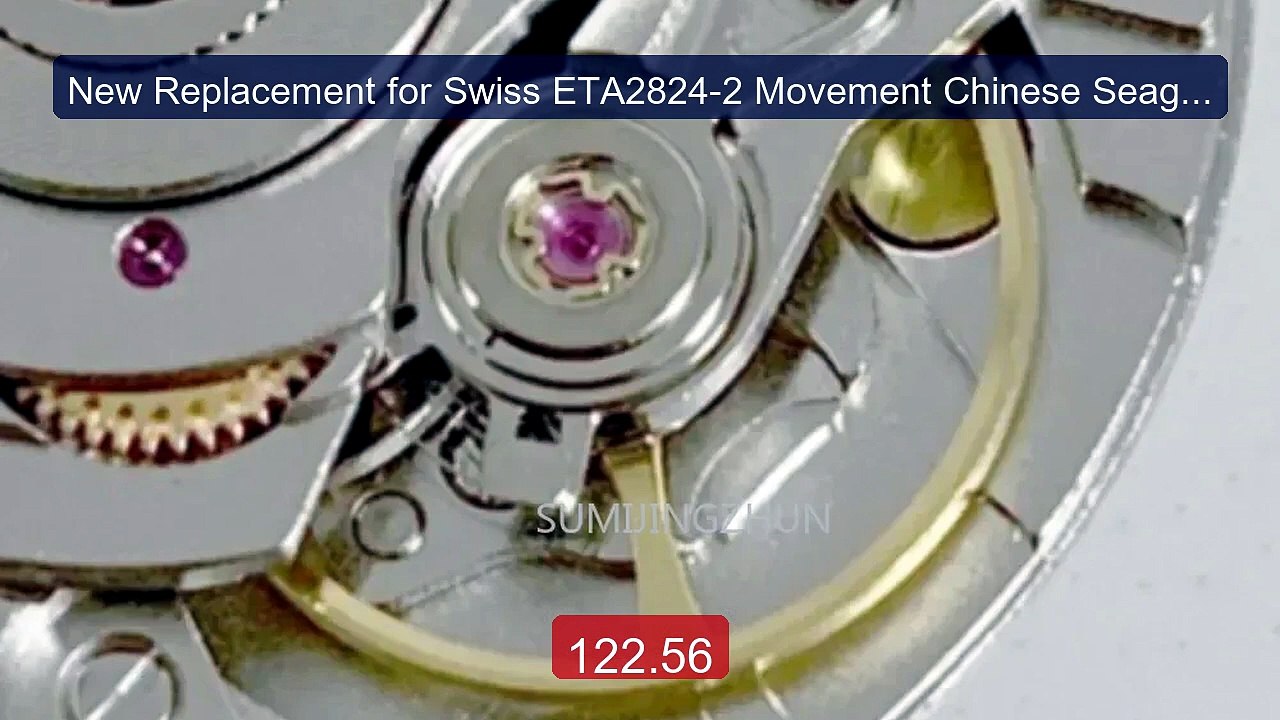 New Replacement for Swiss ETA2824-2 Movement Chinese Seagull 2... -- Best Buy 2026 | Great Quality!