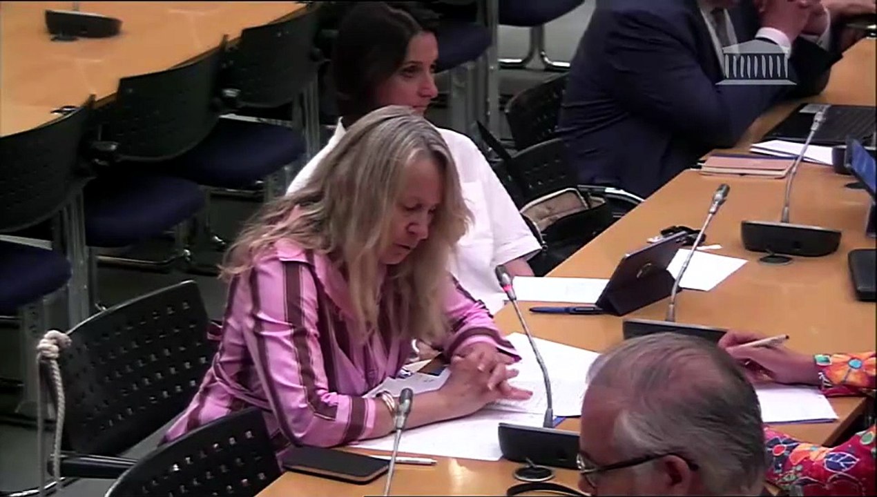 Commission des affaires européennes : M. Benjamin Haddad, ministre délégué chargé de l’Europe, sur l’actualité de Union européenne - Mercredi 15 juillet 2026