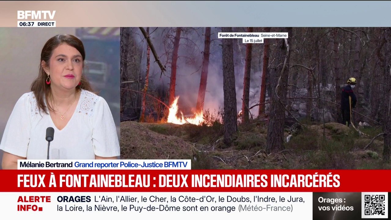 Incendie à Fontainebleau: ce que l'on sait du profil du pompier volontaire mis en examen et placé en détention provisoire
