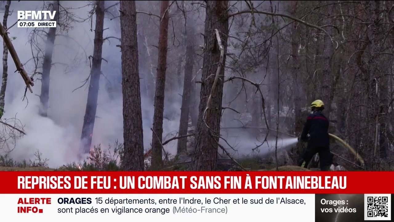 Après avoir fixé les feux de Fontainebleau, le combat des pompiers continue pour éviter des reprises de feu