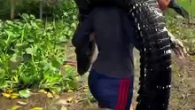 MULHER CORAGEM