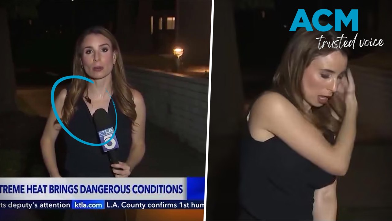 Cockroach crawls over TV reporter during live c...