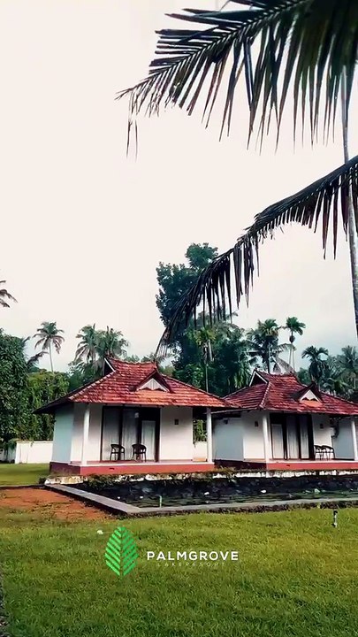 Luxury Backwater Resorts in Alleppey for a Peaceful Lakeside Escape