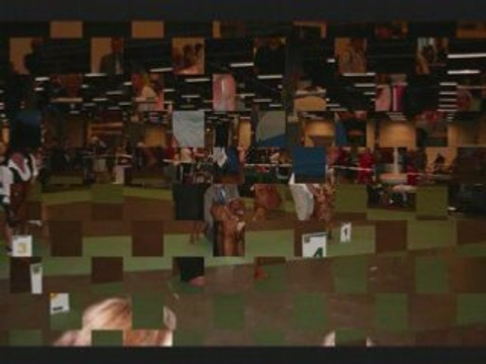 Championnats du monde 2008 Stockholm