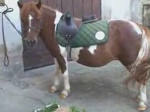 Ballade juillet Jade