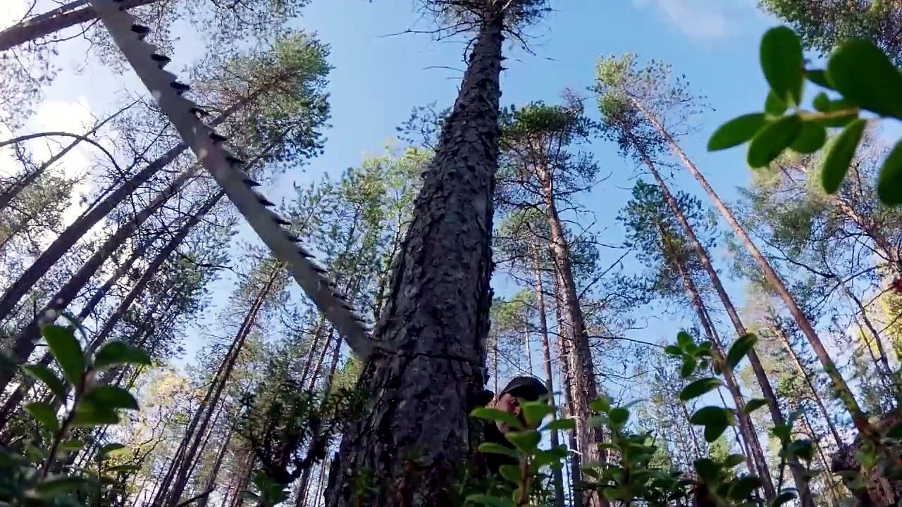 Alone Australia Season 4 Episode 2