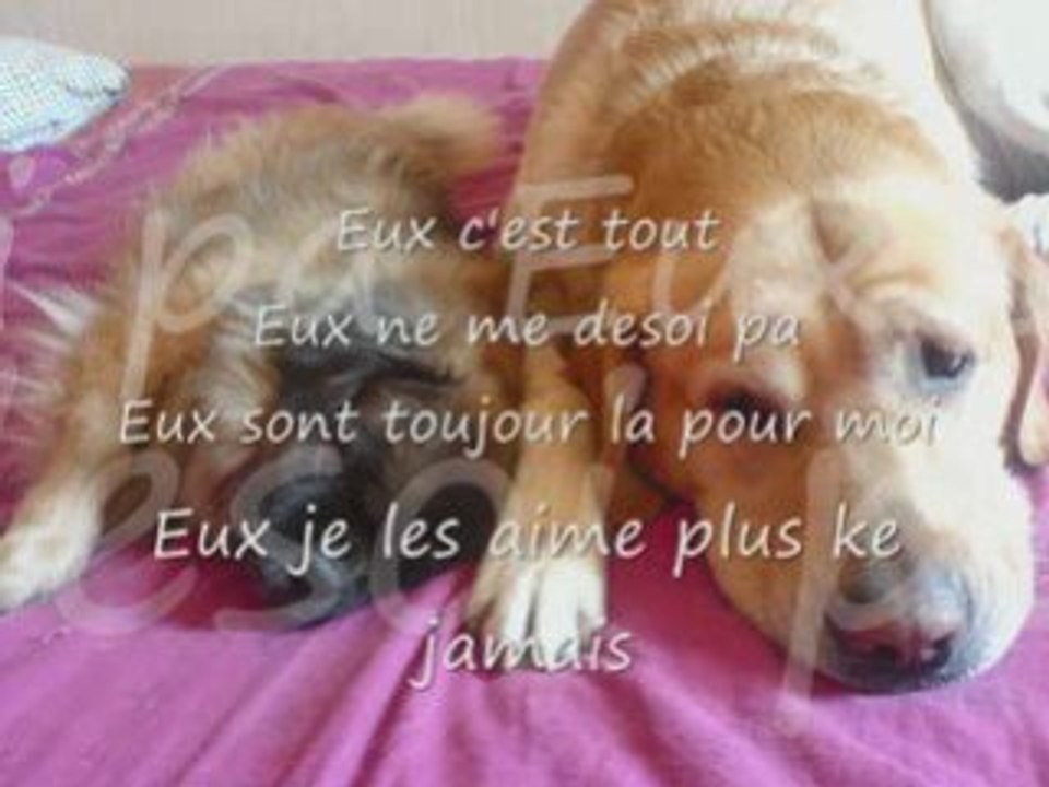 Eux je les aime