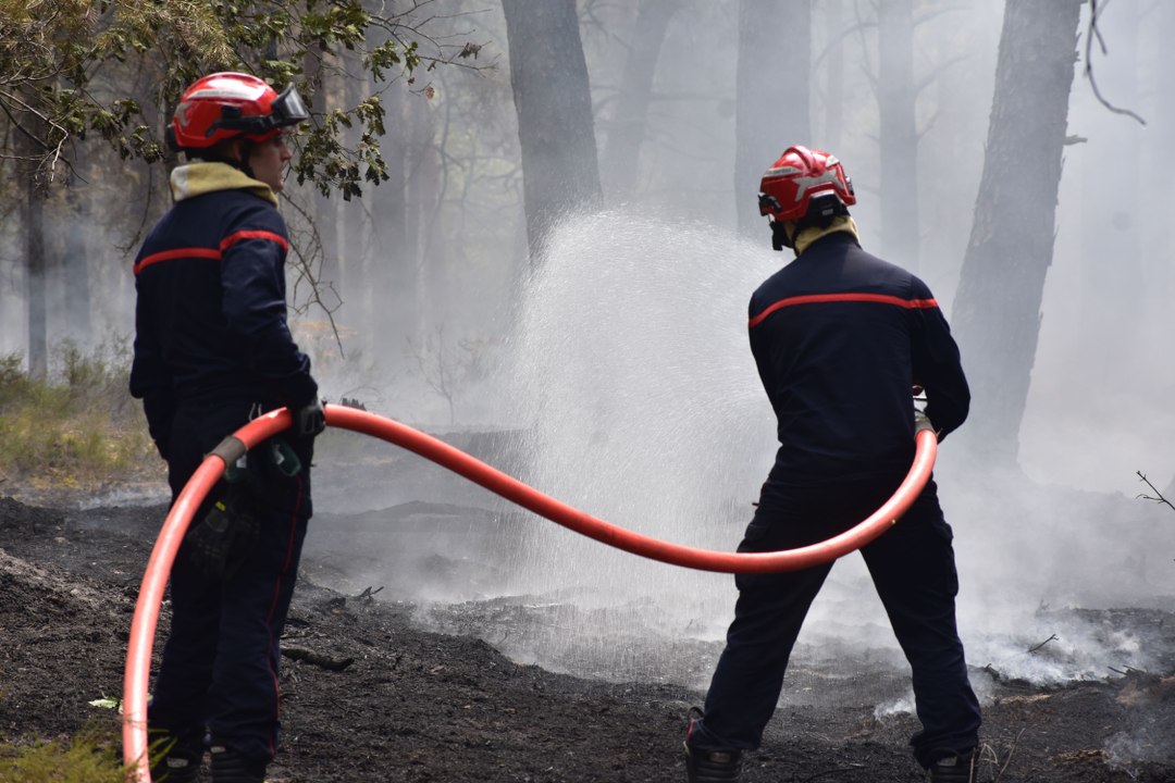 Incendie en forêt de Fontainebleau : au cœur de la lutte contre le feu avec les pompiers