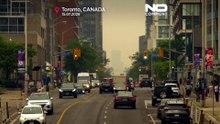 Toronto spowite dymem z pożarów lasów. Najgorsza jakość powietrza na świecie