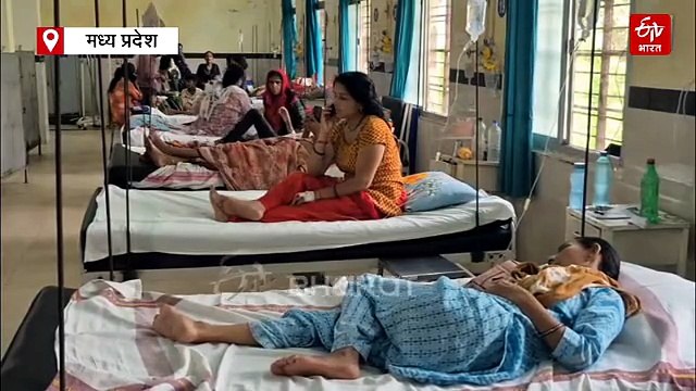 जबलपुर में मिले डेंगू के 24 मरीज, मच्छर खत्म करने खर्च किए 95 लाख, सरकारी विभागों में मिला लार्वा