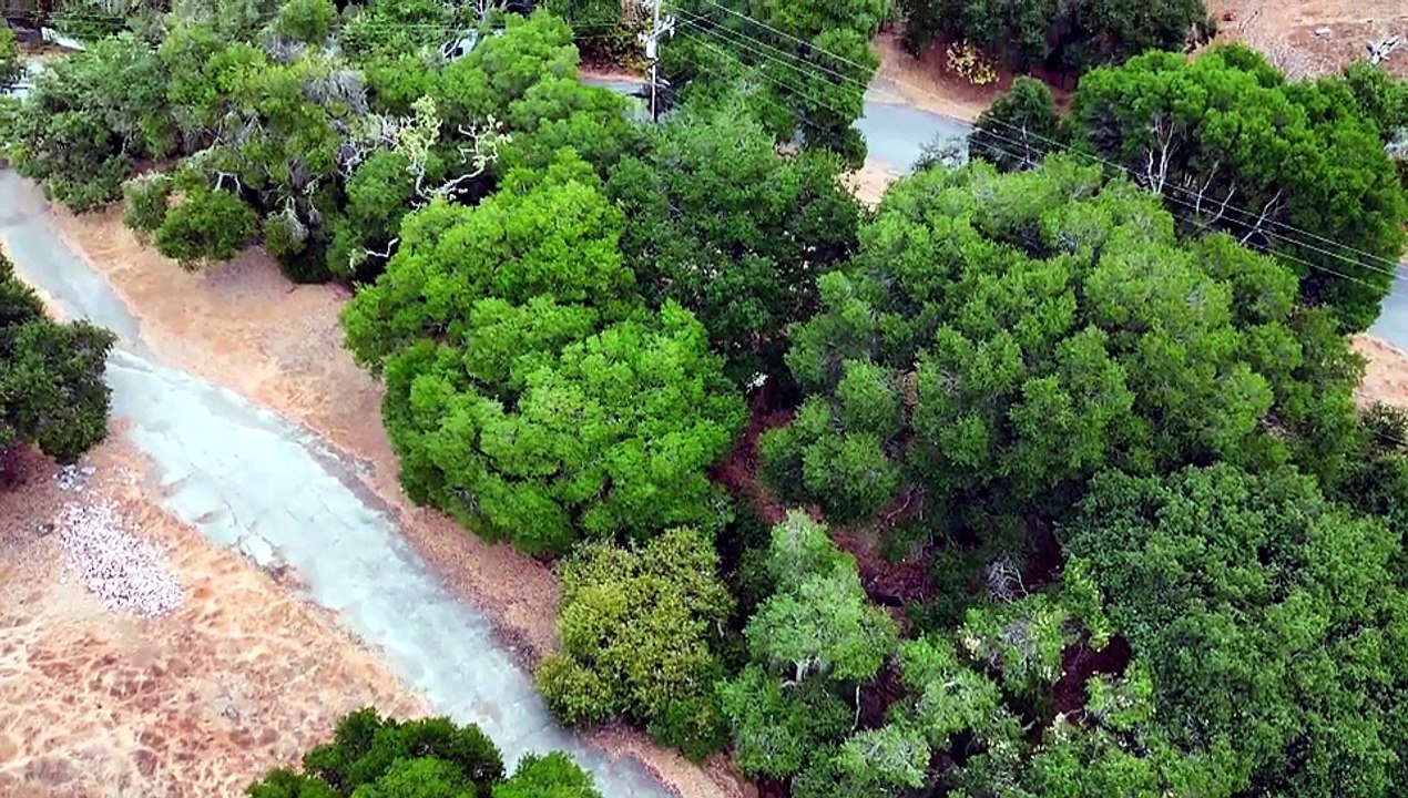 Bloodline Detectives - Season 6 Episode 16 -The Stanford Murders