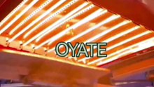 Fast response 480mm 220v 1500w NDA infrared lamps medium wave infrared heater lamp for screen printing