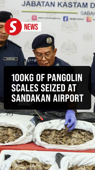 Customs foils RM1.3mil pangolin scale smuggling bid in Sandakan