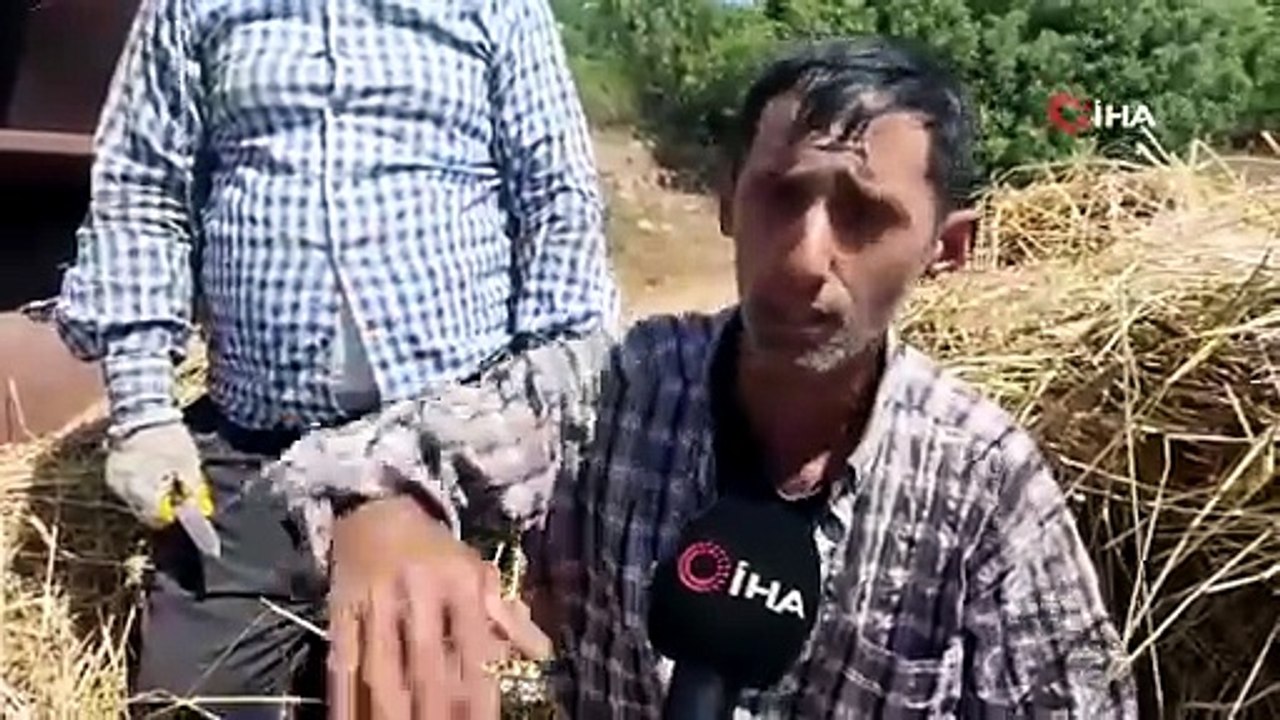 Hatay'da 40 derece sıcakta zorlu mesai: Patoz ve tozla imtihan kamerada
