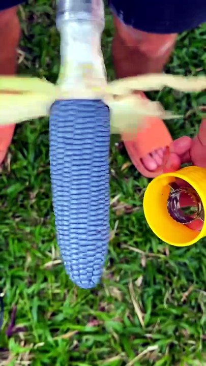 Can You Believe This Grows Naturally??