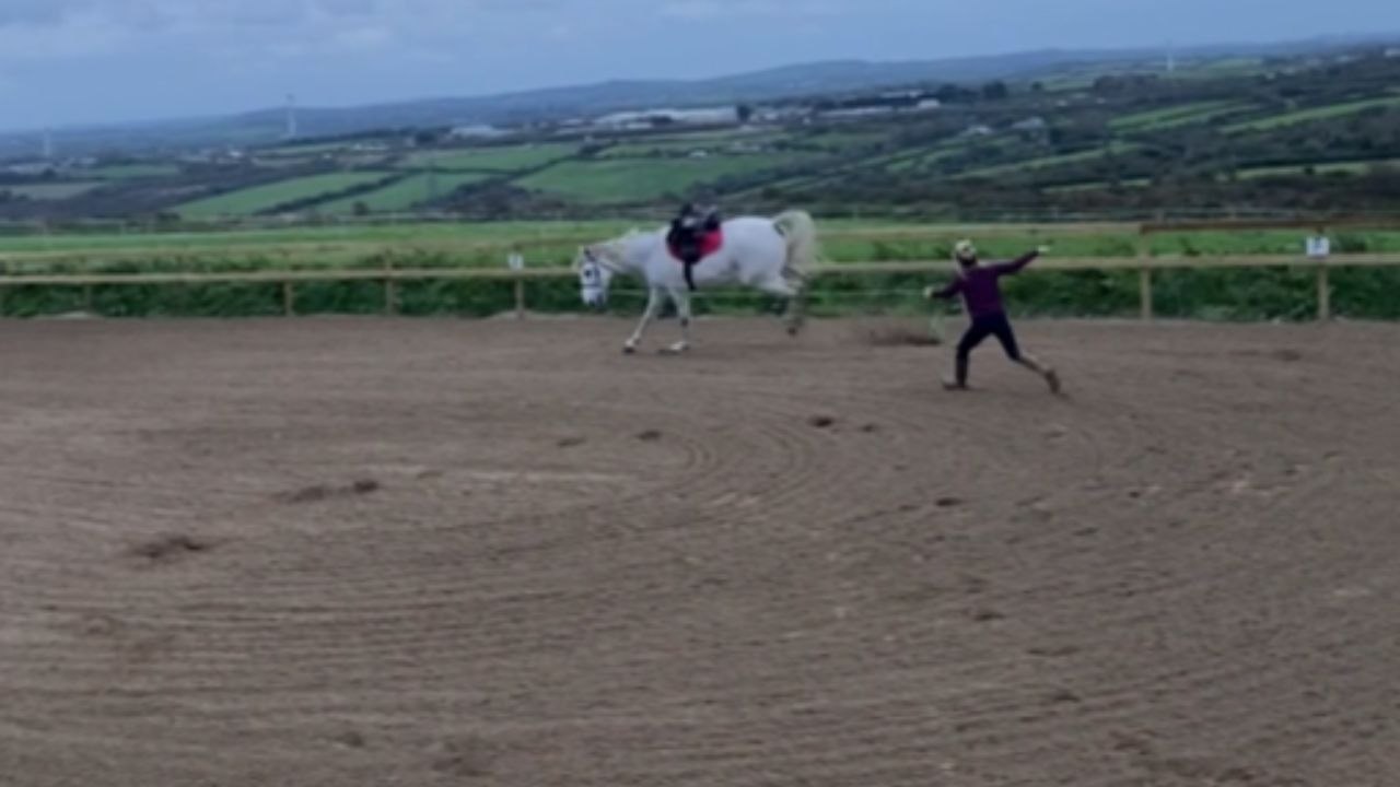 Horse Surges Forward During Lunge Training