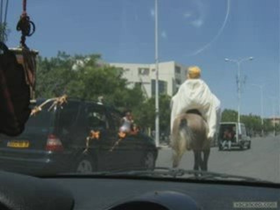 algerie  remix  rai  indou  staifi